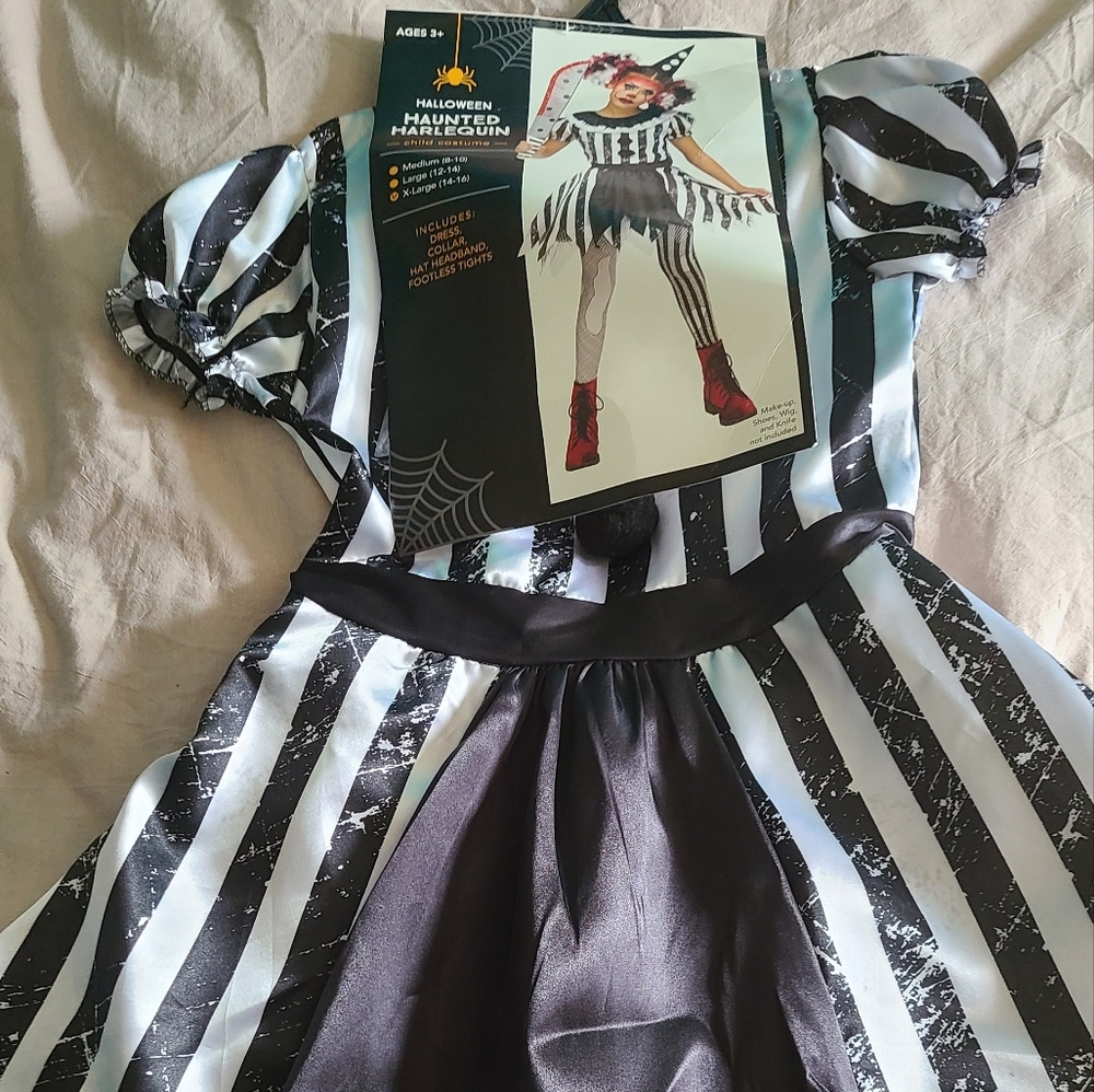 Halloween Haunted Harlequin